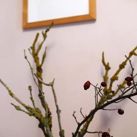 Appartamento Thomashof Klein-mutz Zehdenick