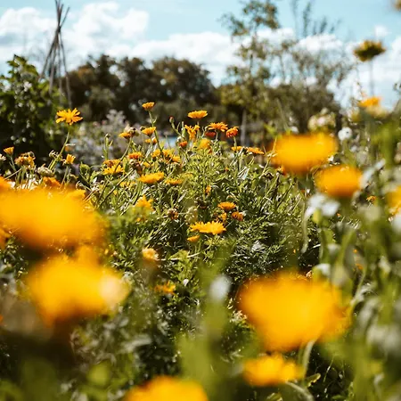 Appartamento Thomashof Klein-mutz Zehdenick