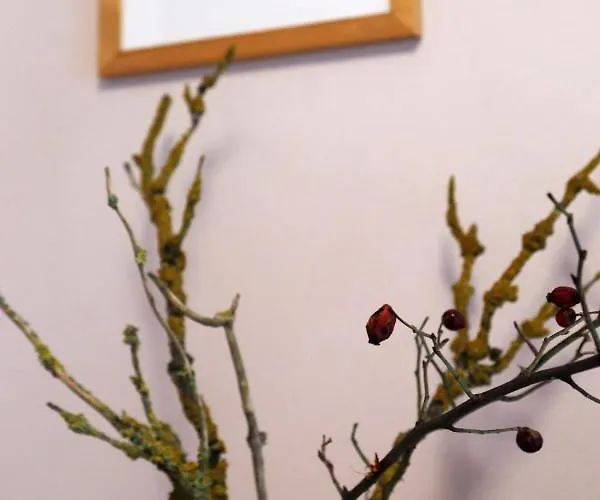 Διαμέρισμα Thomashof Klein-mutz Zehdenick