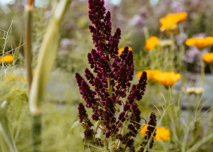 Thomashof Klein-mutz Zehdenick