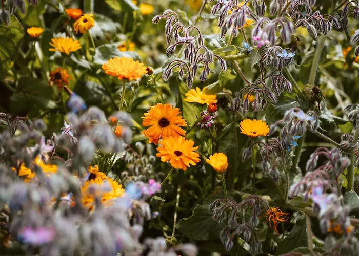 Διαμέρισμα Thomashof Klein-mutz